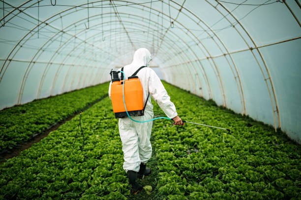 Best Residential Pest Control  in Desloge, MO