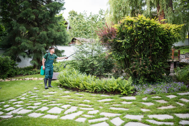 Best Residential Pest Control  in Desloge, MO