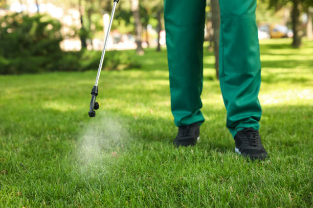 Best Affordable Pest Control Services  in Desloge, MO