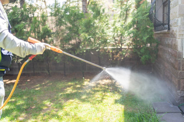 Insect Control in Desloge, MO