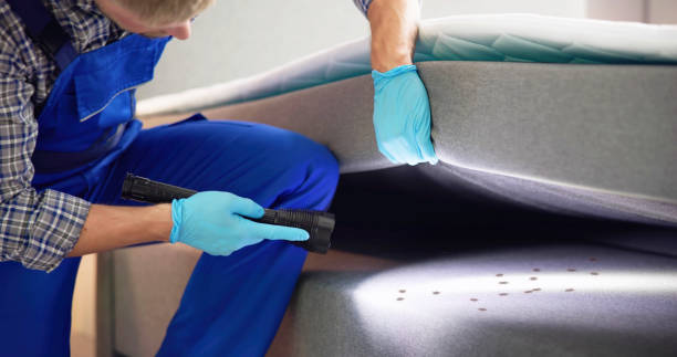 Best Pest Control for Restaurants  in Desloge, MO