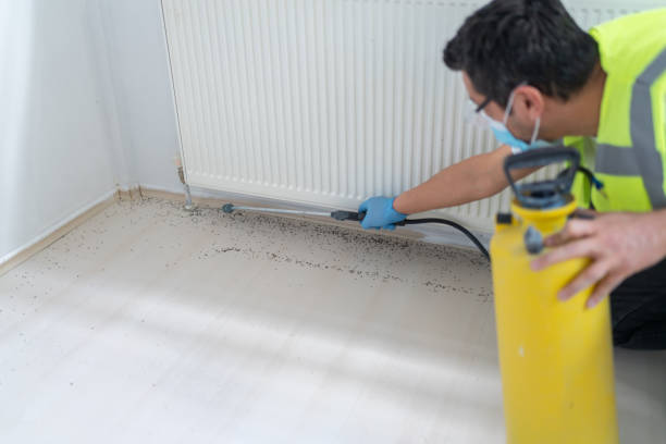 Professional Pest Control in Desloge, MO